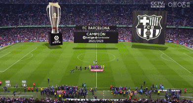 赤道几内亚经历球员罢赛，主帅被停职后如今带队参加非洲杯（经历球员罢赛与主帅停职后，赤道几内亚现已出征非洲杯）