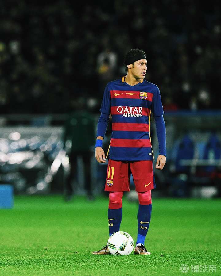 不仅将激励 不仅将激励