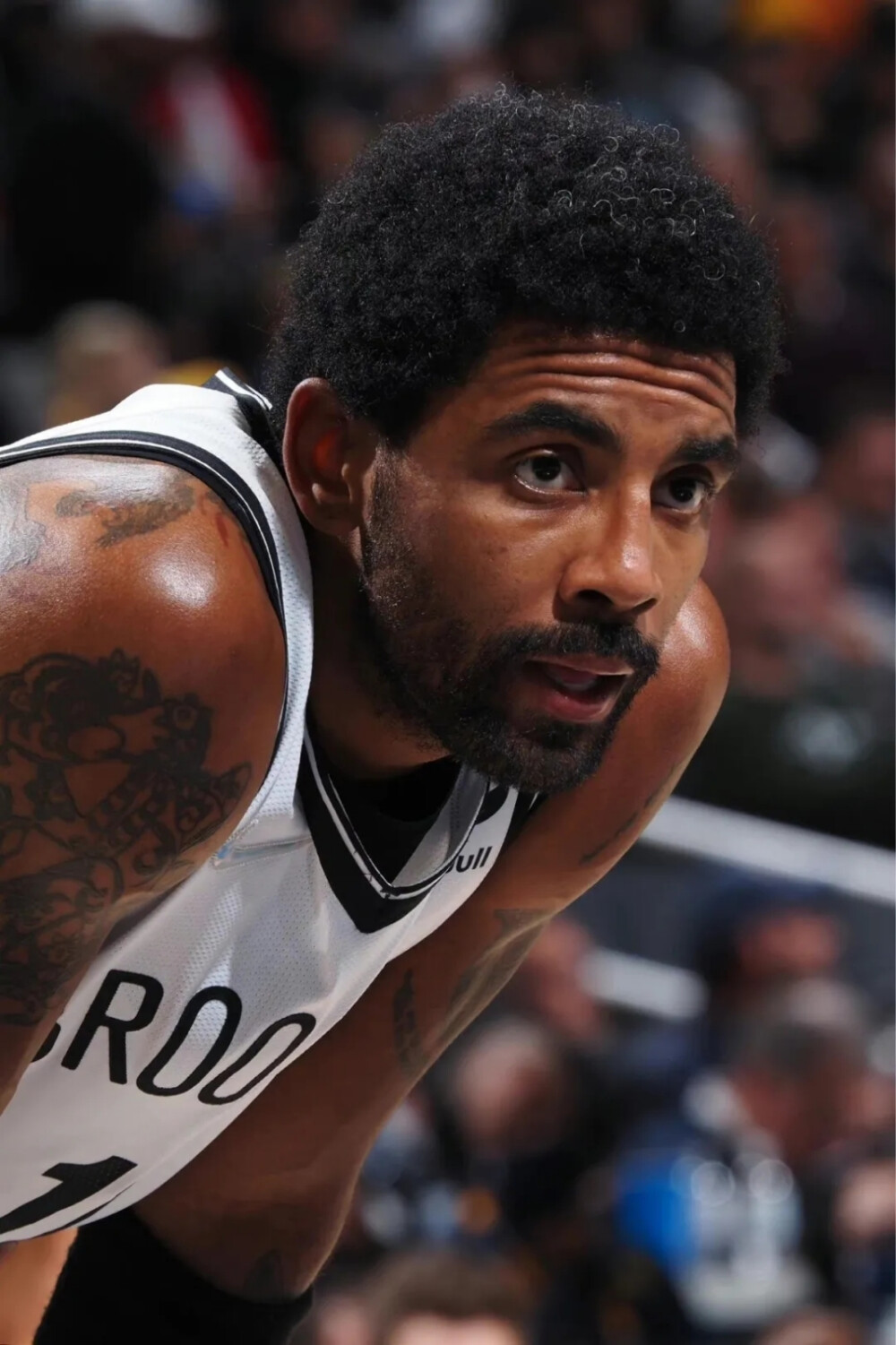 这位出自巴 这位出自巴